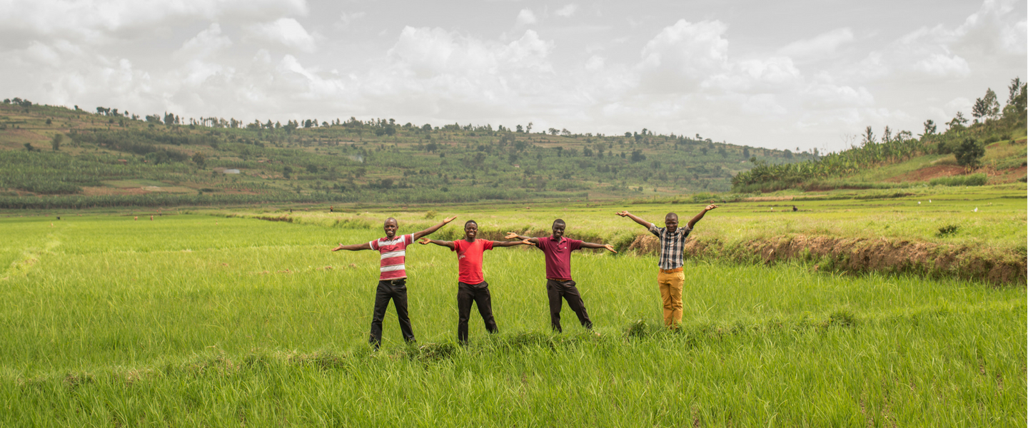 Rice Farm Rwanda